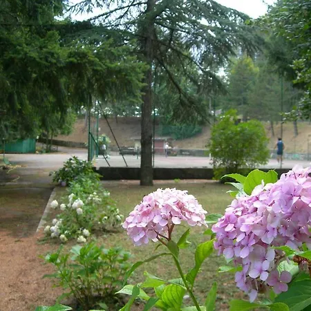 מלון Hotel Miramonti Montemignaio
